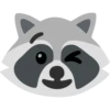 Raccoon 9