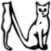 ABC miau 10