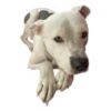 Tuck Moods - Expansion 14