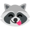 Raccoon 11