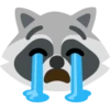 Raccoon 12