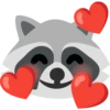Raccoon 13