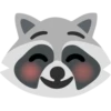 Raccoon 14
