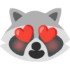Raccoon 15