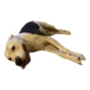 Tuck Moods - Expansion 16