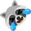 Raccoon 16