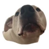 Tuck Moods - Expansion 17