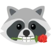 Raccoon 17