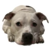 Tuck Moods - Expansion 23