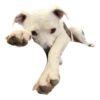 Tuck Moods - Expansion 24
