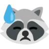 Raccoon 19