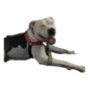 Tuck Moods - Expansion 25