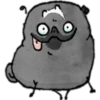 Perritos Pug con para Nath 20