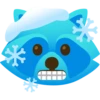 Raccoon 21