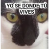 uwu ahhhhhhhhhuwuwuuwuwu 6