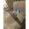 catssss 7