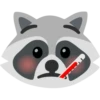 Raccoon 23