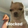 uwu ahhhhhhhhhuwuwuuwuwu 8