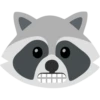 Raccoon 24