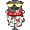 Perritos Pug con para Nath 22