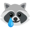 Raccoon 25