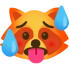 Raccoon 26