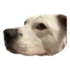 Tuck Moods - Expansion 27