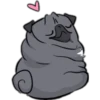 Perritos Pug con para Nath 27