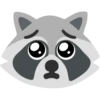 Raccoon 27
