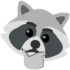 Raccoon 28