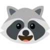 Raccoon 29