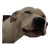 Tuck Moods - Expansion 29