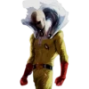 One Punch Man 29
