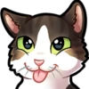 L&V Cats 5