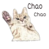 Chao Chao