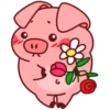 Свин Валера / Pig Valera 9