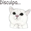 Disculpa...
