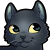 L&V Cats 11