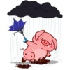 Свин Валера / Pig Valera 16