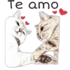 Te amo