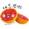 柚怎麼啦
@my_nutrition_meme