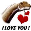 Dinosaurs Sticker 23