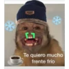 🙈Monos Chidos🙈 20
