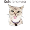 Solo bromeo NALA