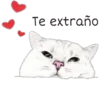 Te extraño