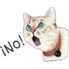 ¡No! NaLA Myy