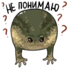Frogus29 5