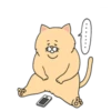 Sad Fat Cat 6