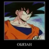 DRAGON CHUVRIKI 8