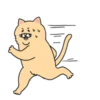 Sad Fat Cat 9